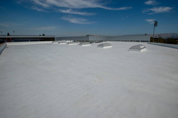 Best Asphalt Shingles Roofing  in Manchester, GA