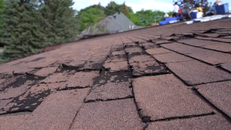 Asphalt Shingles Roofing in Manchester, GA
