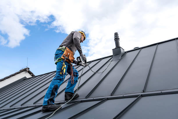Best Cold Roofs  in Manchester, GA